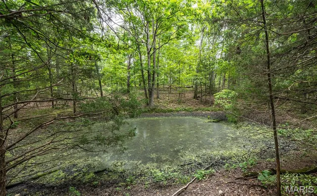 $670,000 | 3292 County Road 625, Birch Tree, MO 65438