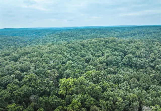 $670,000 | 3292 County Road 625, Birch Tree, MO 65438