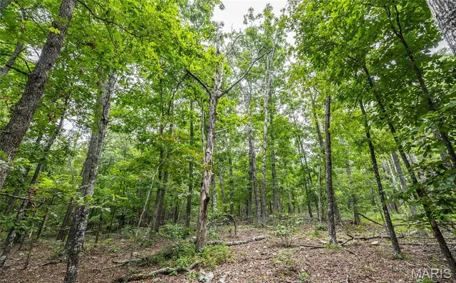 $670,000 | 3292 County Road 625, Birch Tree, MO 65438