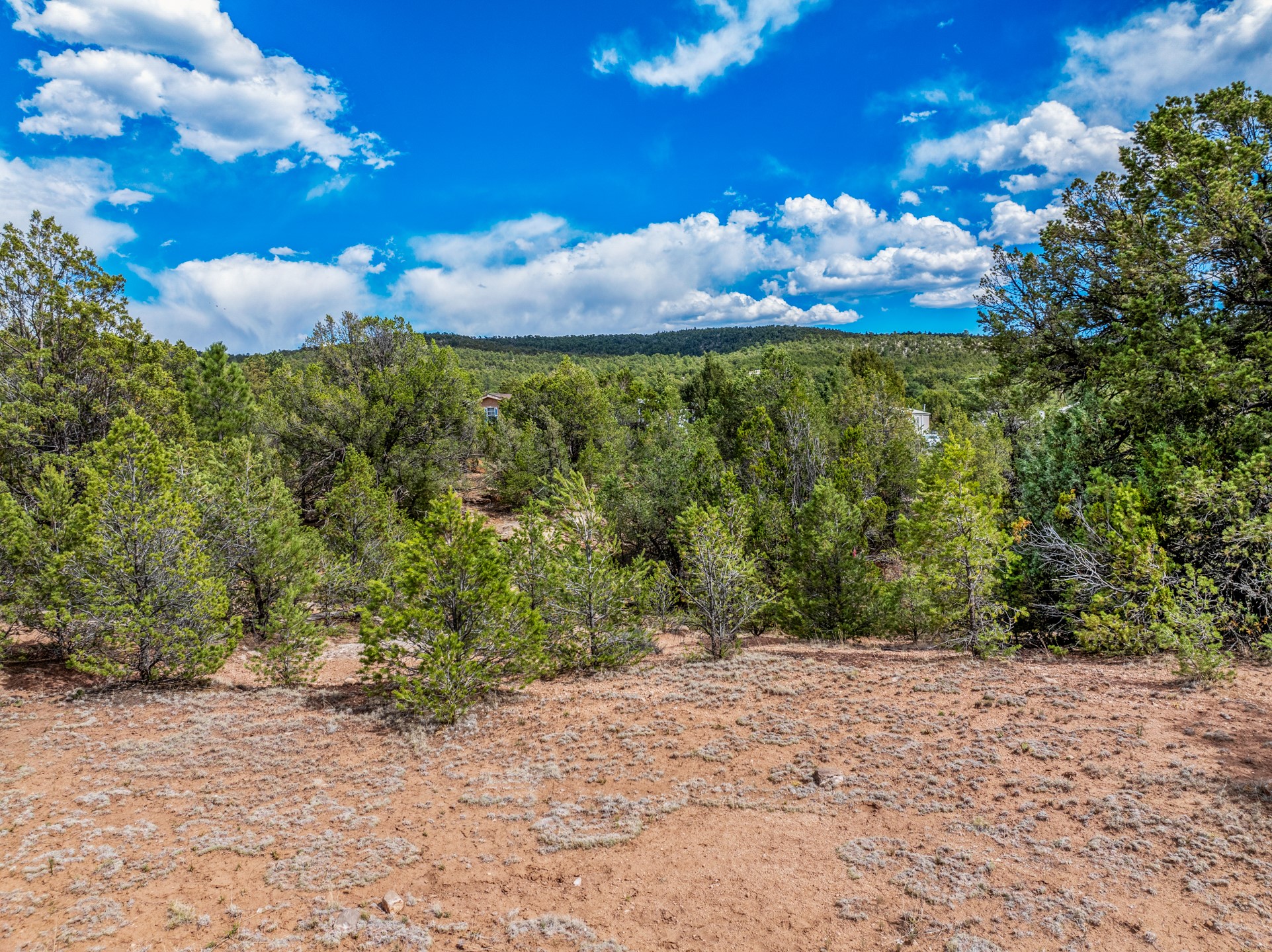 2.38-acres Old Colonias Road Pecos, NM 87552 - Photo 14 of 25