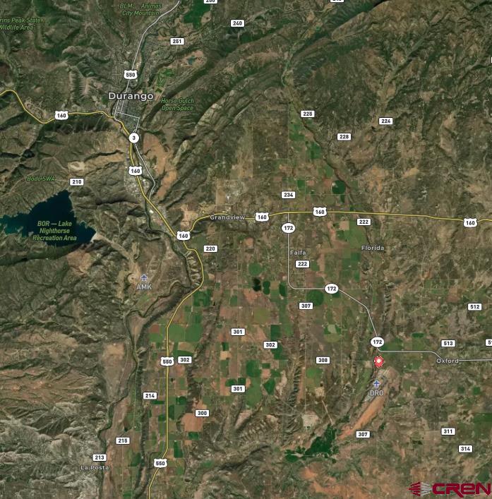 380 Airport Road Ignacio, CO 81137 - Photo 25 of 25 a picture of tree