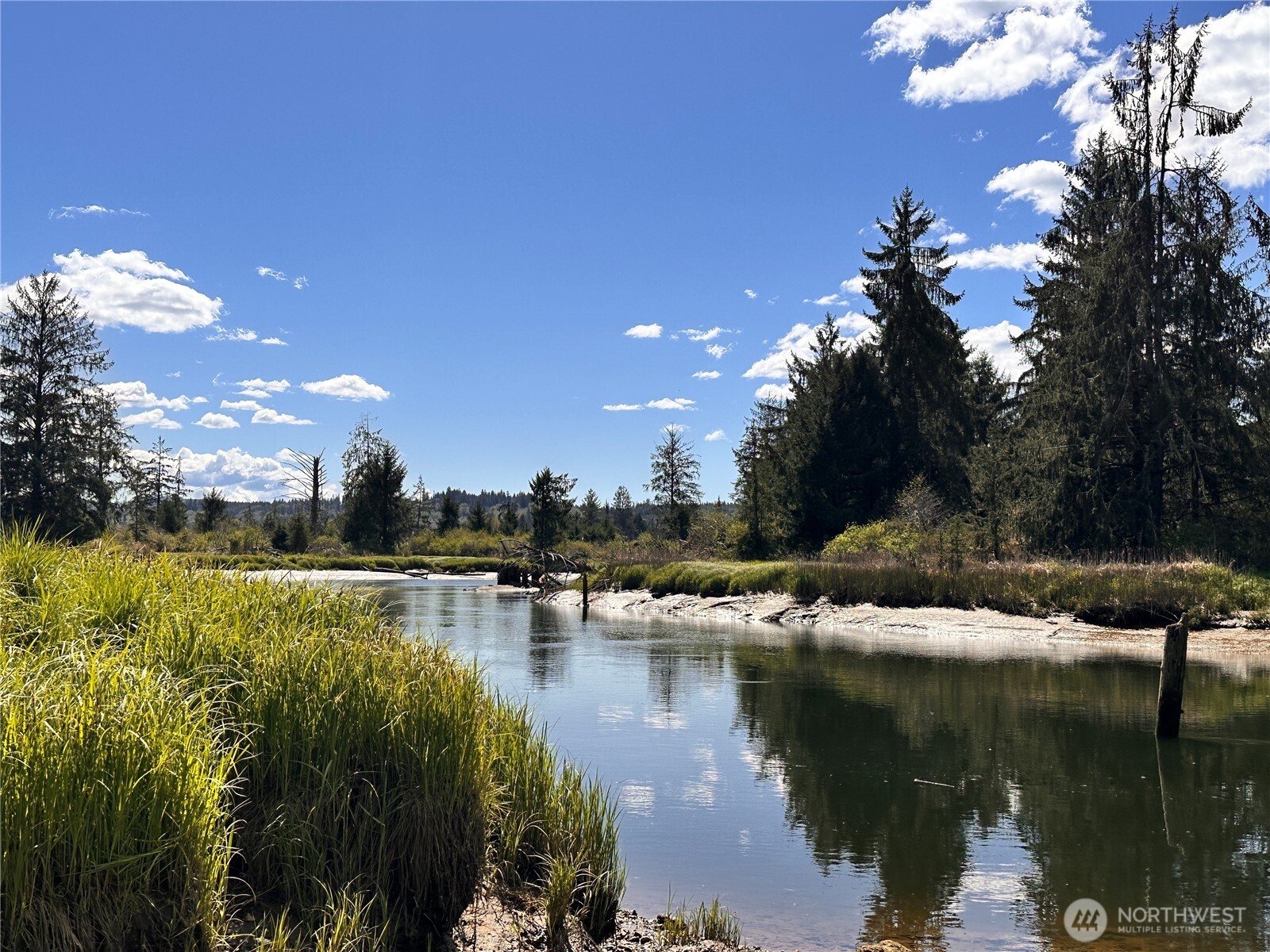 -xxx Monohon Landing Road Raymond, WA 98577 - Photo 1 of 15 Gallery Image 1