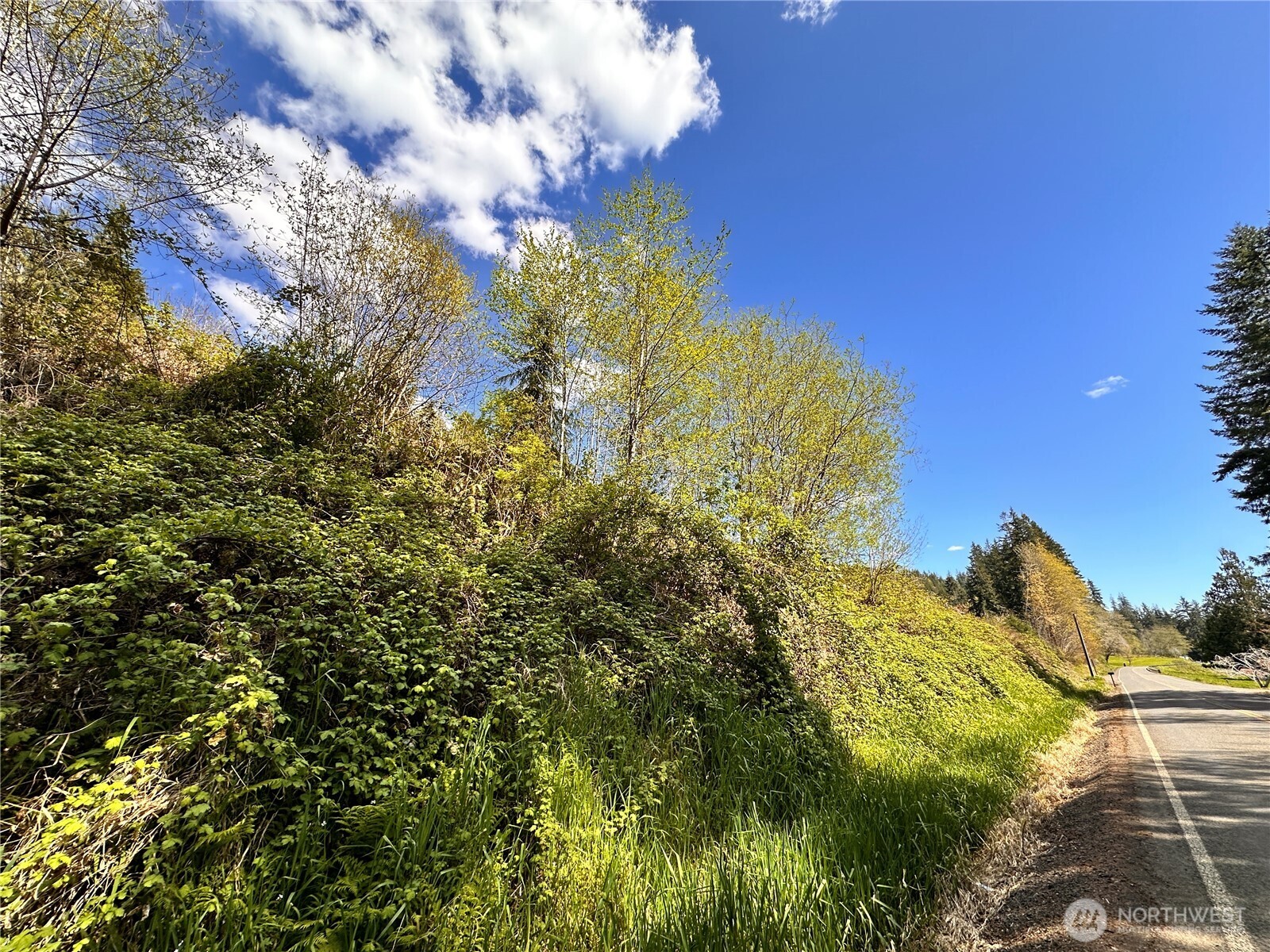 -xxx Monohon Landing Road Raymond, WA 98577 - Photo 12 of 15 Gallery Image 12