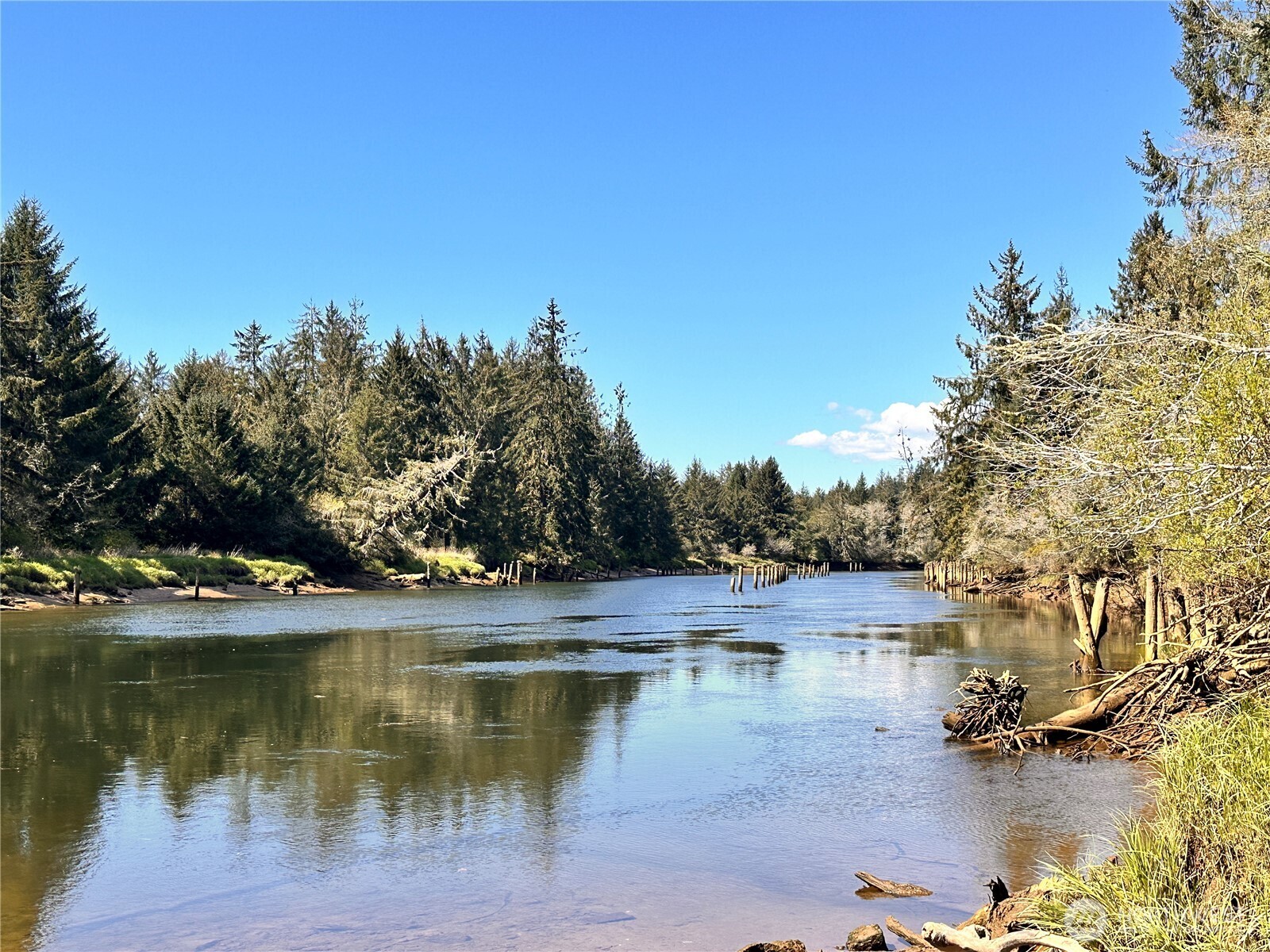 -xxx Monohon Landing Road Raymond, WA 98577 - Photo 14 of 15 Gallery Image 14