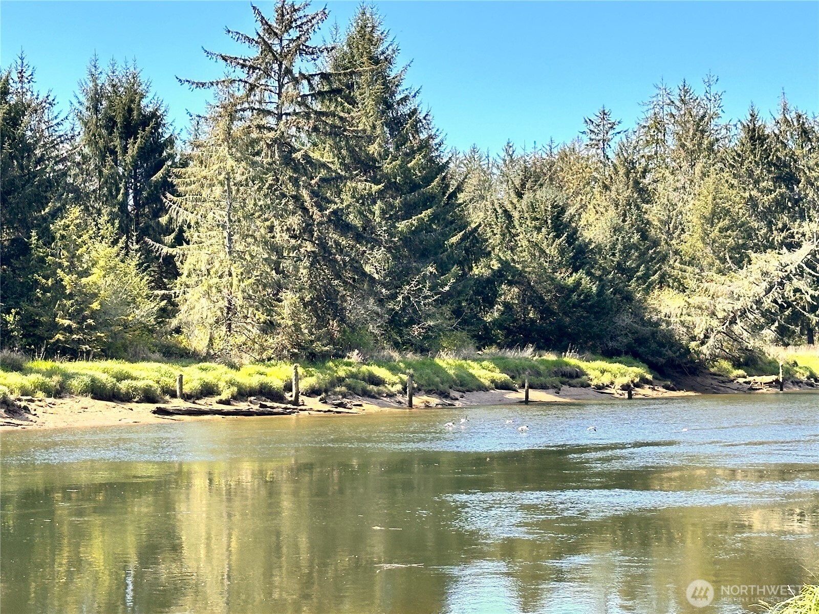 -xxx Monohon Landing Road Raymond, WA 98577 - Photo 15 of 15 Gallery Image 15