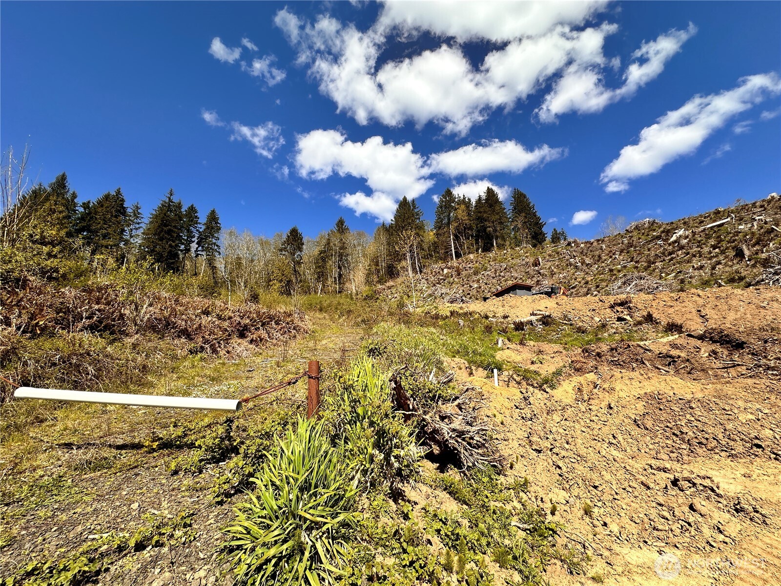 -xxx Monohon Landing Road Raymond, WA 98577 - Photo 5 of 15 Gallery Image 5