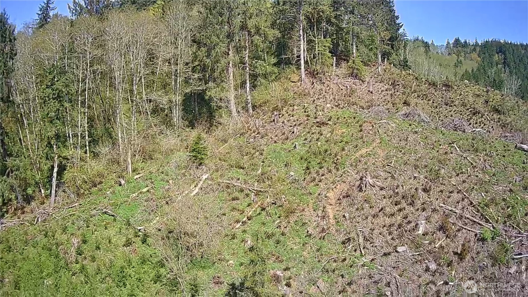-xxx Monohon Landing Road Raymond, WA 98577 - Photo 6 of 15 Gallery Image 6