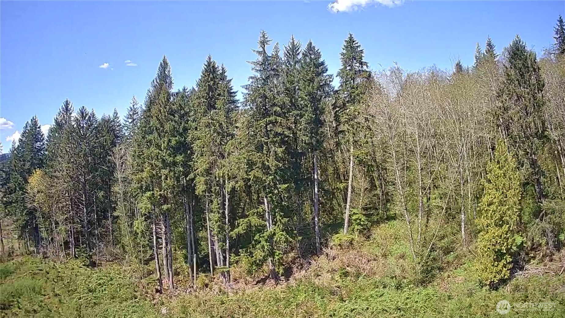 -xxx Monohon Landing Road Raymond, WA 98577 - Photo 8 of 15 Gallery Image 8