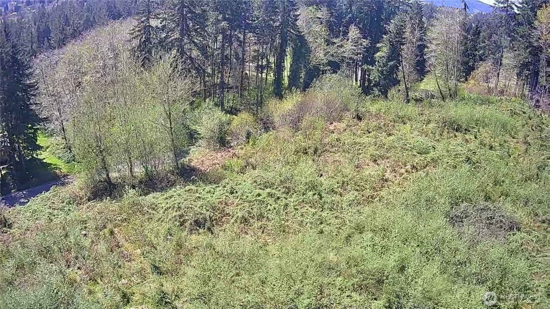 -xxx Monohon Landing Road Raymond, WA 98577 - Photo 10 of 15 Gallery Image 10