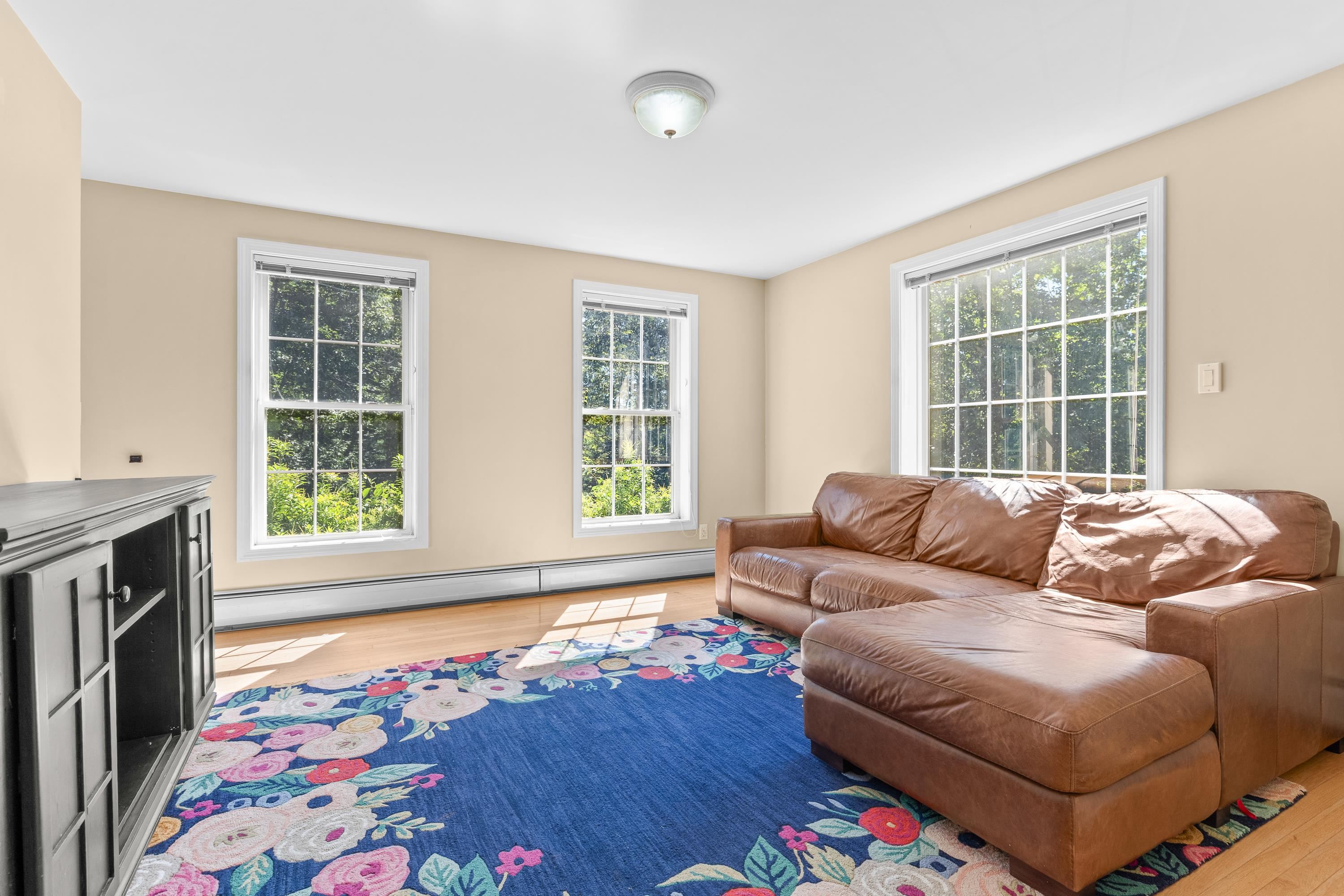 53 Tan Road Pittsfield, NH 03263 - Photo 4 of 39 Gallery Image 4