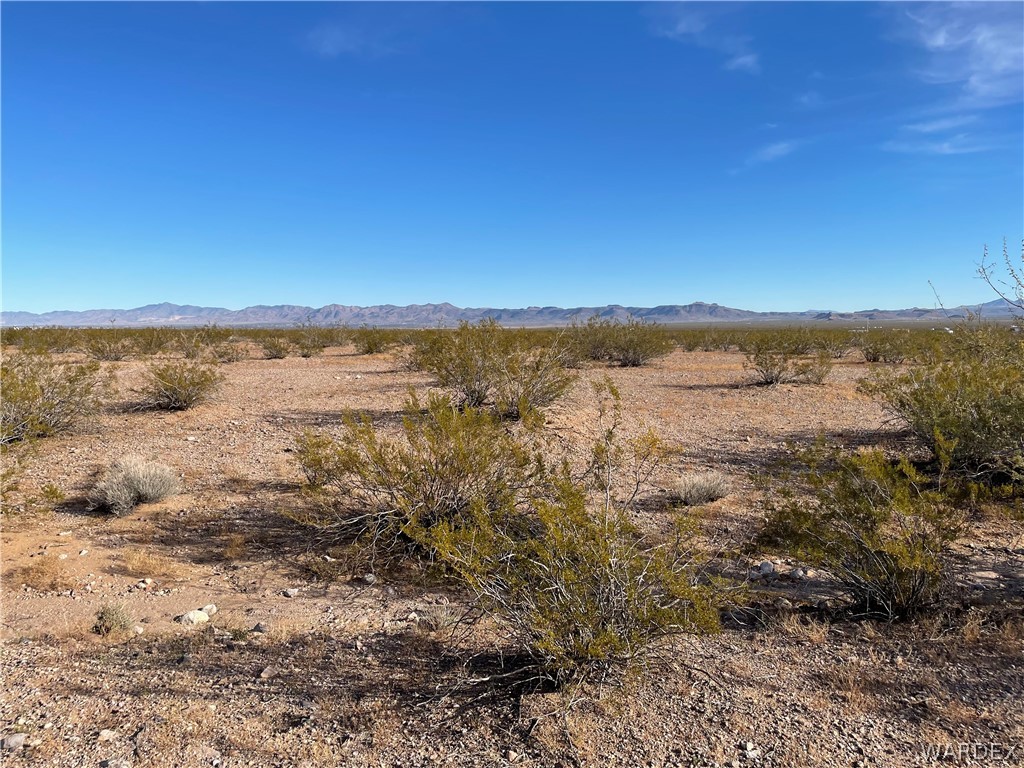 4884 Jasper Road Golden Valley, AZ 86413 - Photo 3 of 11