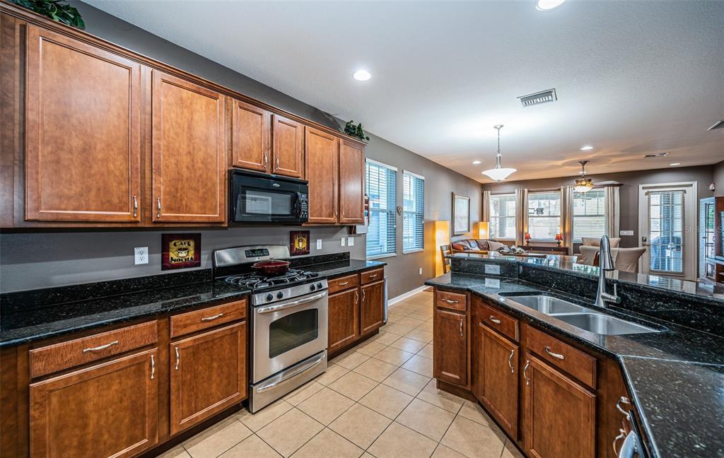 3515 Albritton Street New Port Richey, FL 34655 - Photo 4 of 63