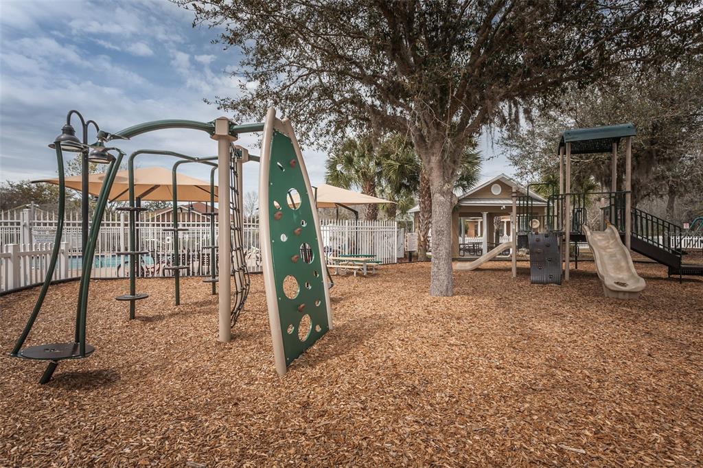 3515 Albritton Street New Port Richey, FL 34655 - Photo 47 of 63