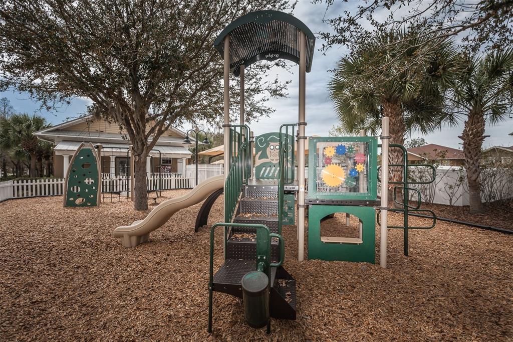 3515 Albritton Street New Port Richey, FL 34655 - Photo 48 of 63