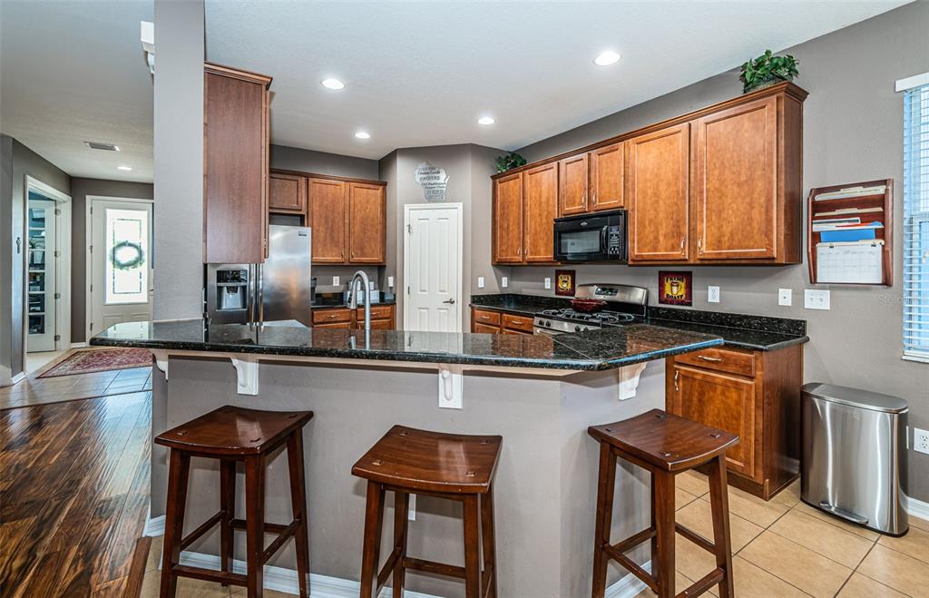 3515 Albritton Street New Port Richey, FL 34655 - Photo 5 of 63