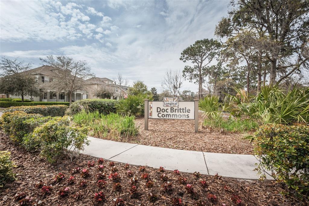 3515 Albritton Street New Port Richey, FL 34655 - Photo 53 of 63