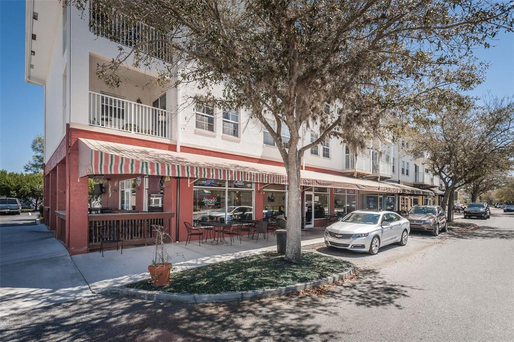 3515 Albritton Street New Port Richey, FL 34655 - Photo 60 of 63