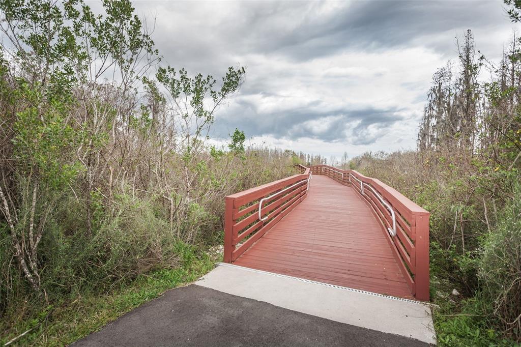 3515 Albritton Street New Port Richey, FL 34655 - Photo 61 of 63