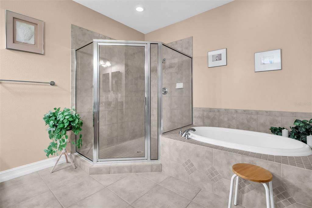 1460 Ribolla Drive Palm Harbor, FL 34683 - Photo 31 of 47