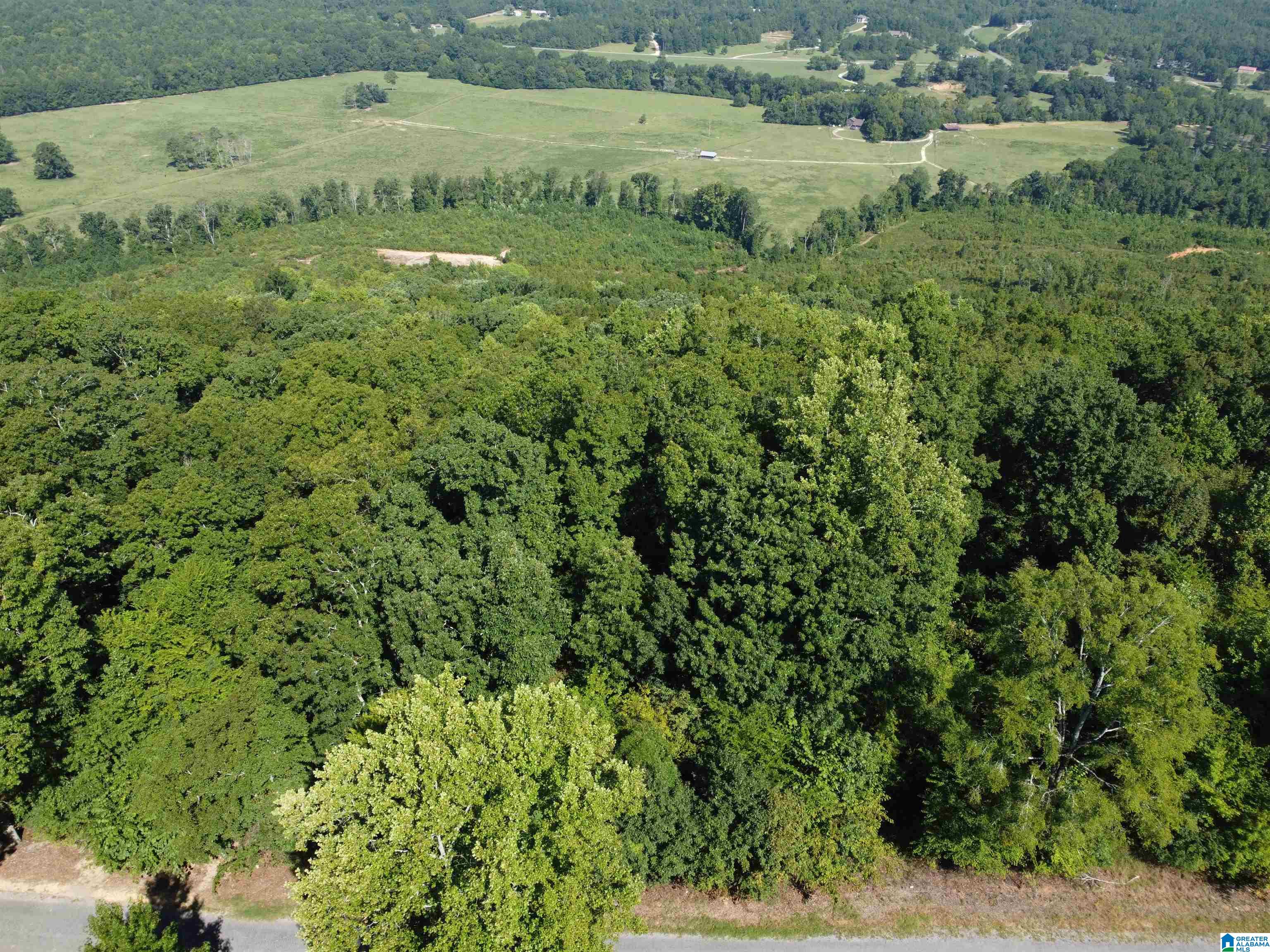 0 Beaver Mountain Road Ashville, AL 35953 - Photo 6 of 40