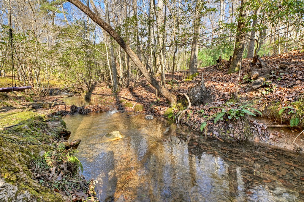 870 Mitchell Branch Road Morganton, GA 30560 - Photo 11 of 41