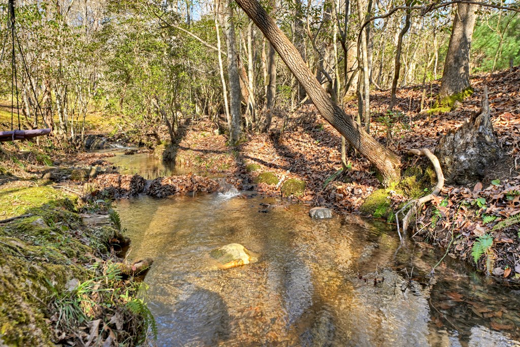 870 Mitchell Branch Road Morganton, GA 30560 - Photo 12 of 41