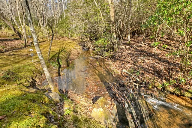 a view of a backyard of the house