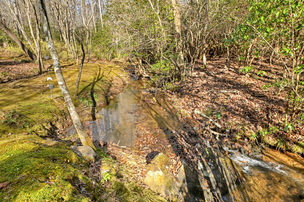 870 Mitchell Branch Road Morganton, GA 30560 - Photo 14 of 41