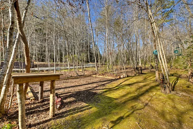 a view of yard with trees