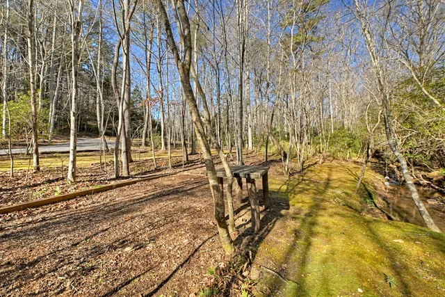 a view of yard with large trees