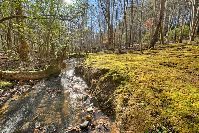 a view of yard with large trees