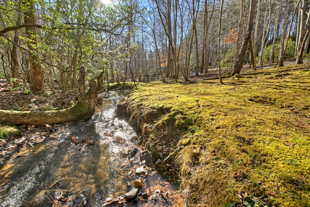 870 Mitchell Branch Road Morganton, GA 30560 - Photo 17 of 41