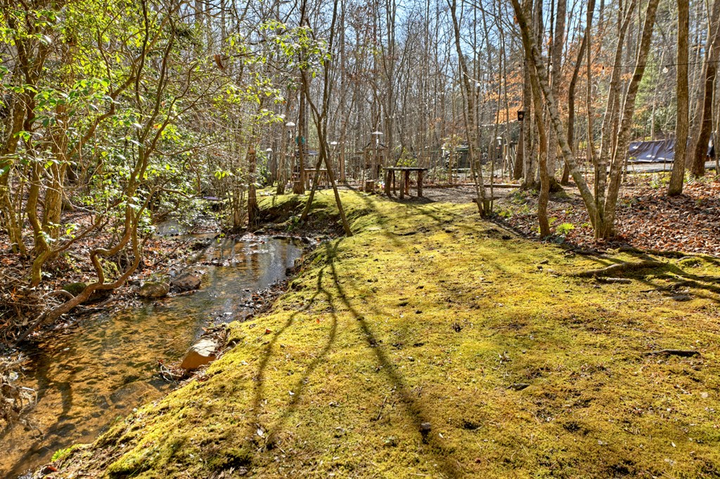 870 Mitchell Branch Road Morganton, GA 30560 - Photo 18 of 41