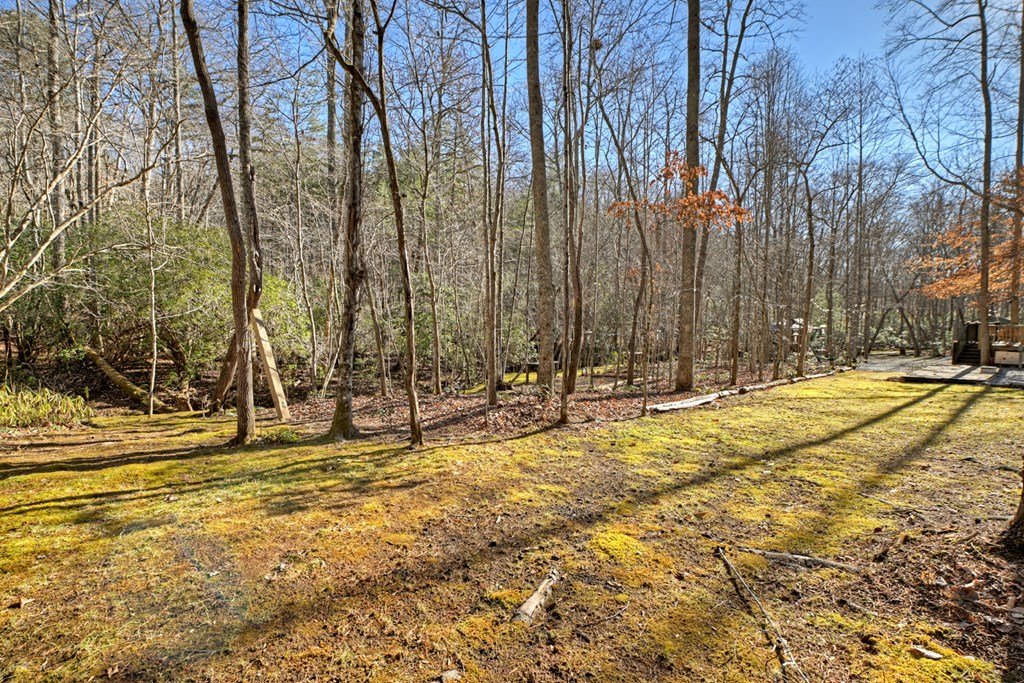 870 Mitchell Branch Road Morganton, GA 30560 - Photo 19 of 41