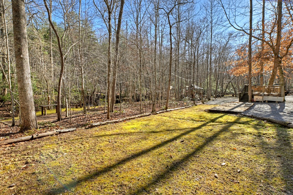 870 Mitchell Branch Road Morganton, GA 30560 - Photo 20 of 41