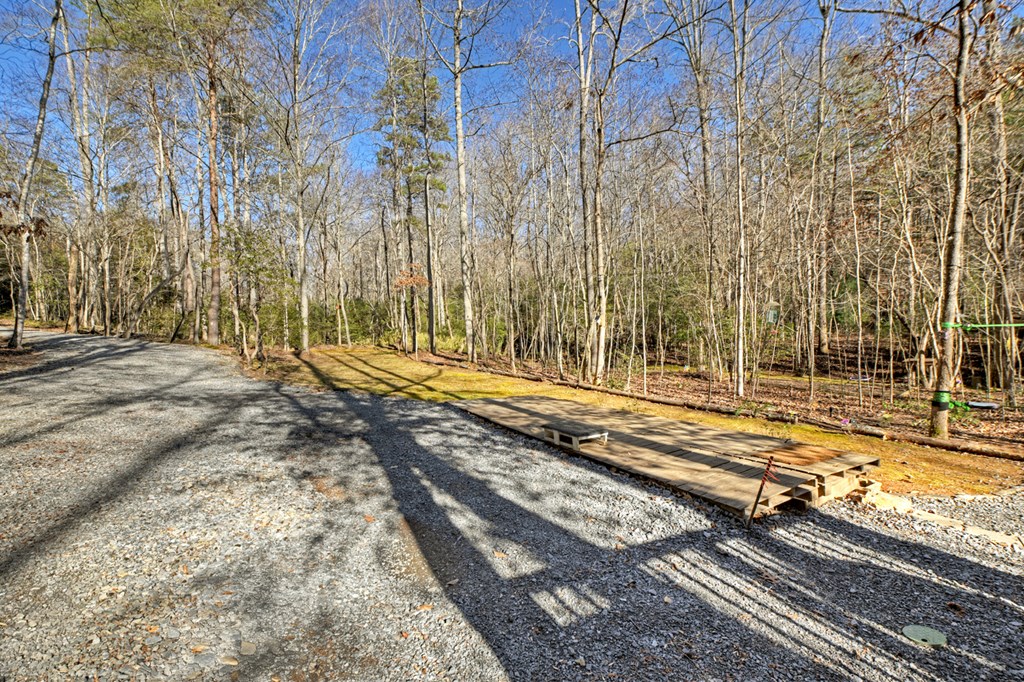 870 Mitchell Branch Road Morganton, GA 30560 - Photo 22 of 41