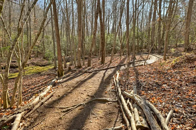 $129,000 | 870 Mitchell Branch Road, Morganton, GA 30560