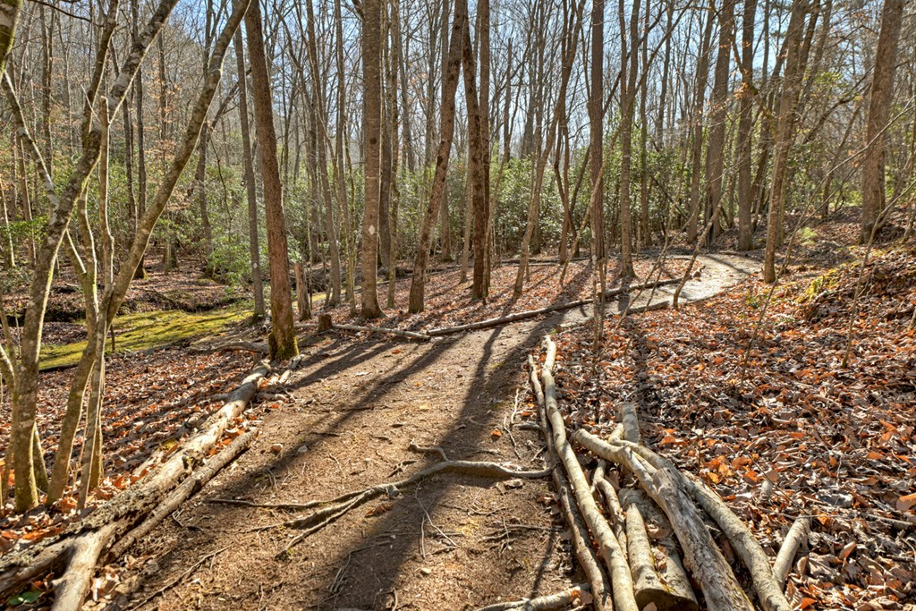 870 Mitchell Branch Road Morganton, GA 30560 - Photo 38 of 41