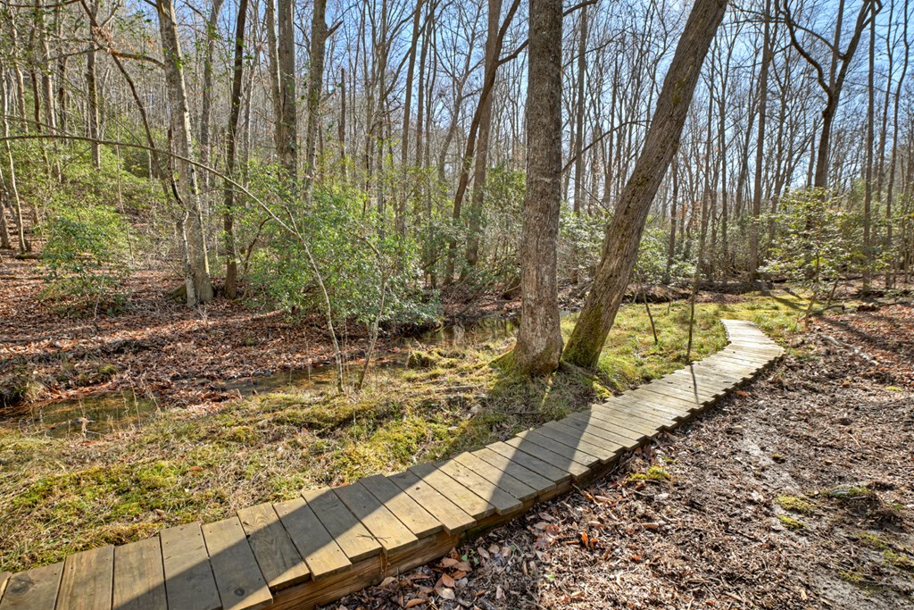 870 Mitchell Branch Road Morganton, GA 30560 - Photo 5 of 41