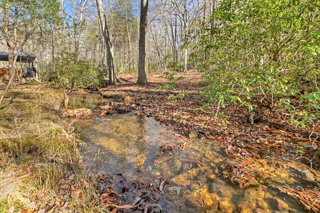 870 Mitchell Branch Road Morganton, GA 30560 - Photo 6 of 41