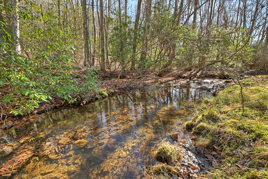 870 Mitchell Branch Road Morganton, GA 30560 - Photo 7 of 41