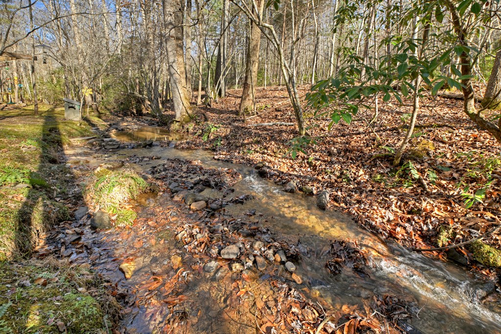 870 Mitchell Branch Road Morganton, GA 30560 - Photo 8 of 41