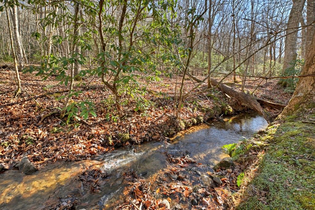 870 Mitchell Branch Road Morganton, GA 30560 - Photo 9 of 41