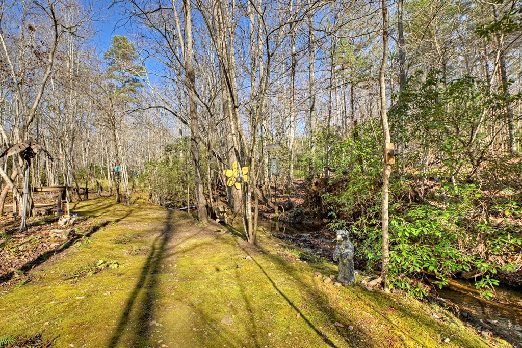 870 Mitchell Branch Road Morganton, GA 30560 - Photo 10 of 41