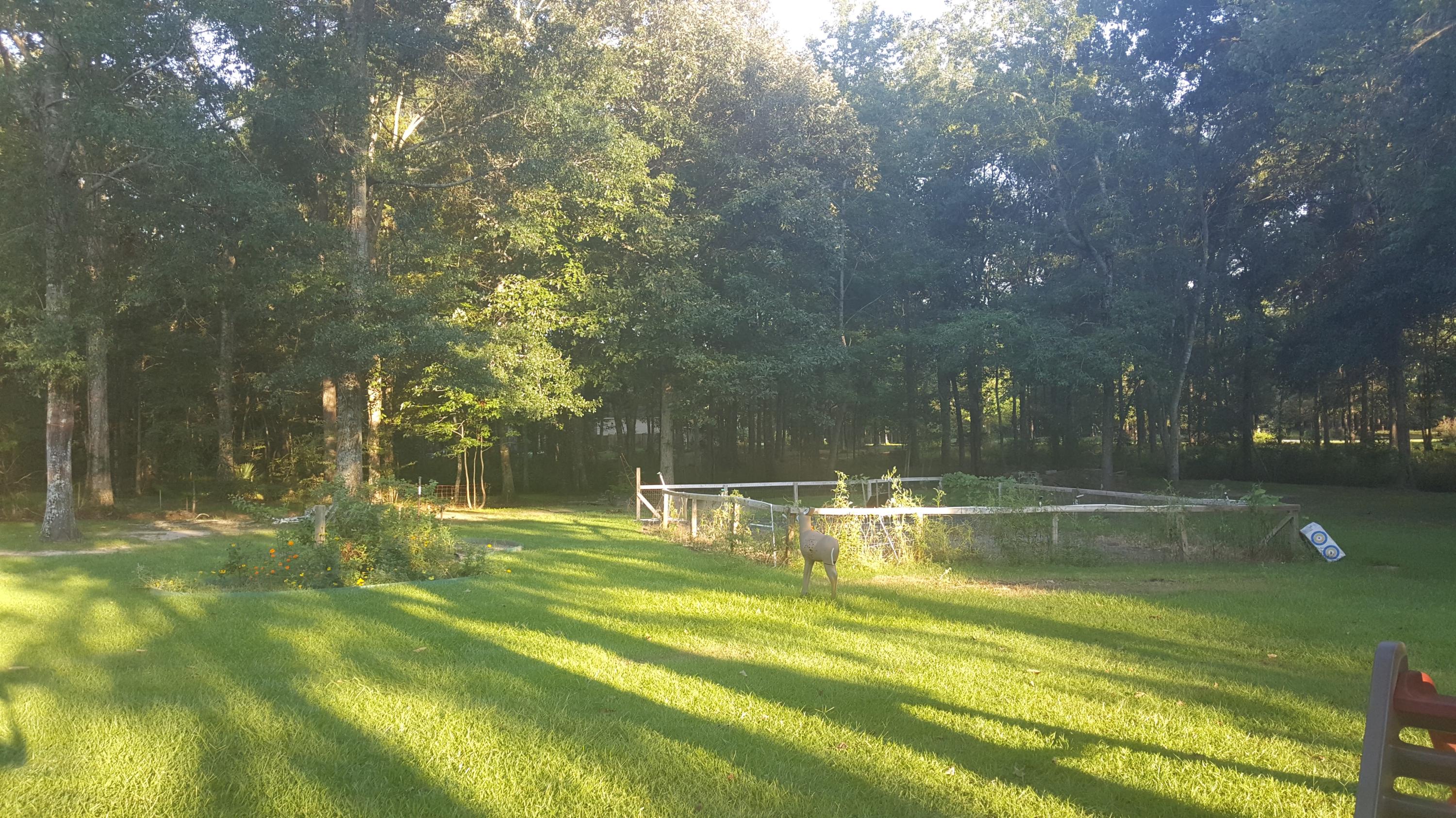214 Washington Town Road Summerville, SC 29486 - Photo 18 of 20 20160822_190337
