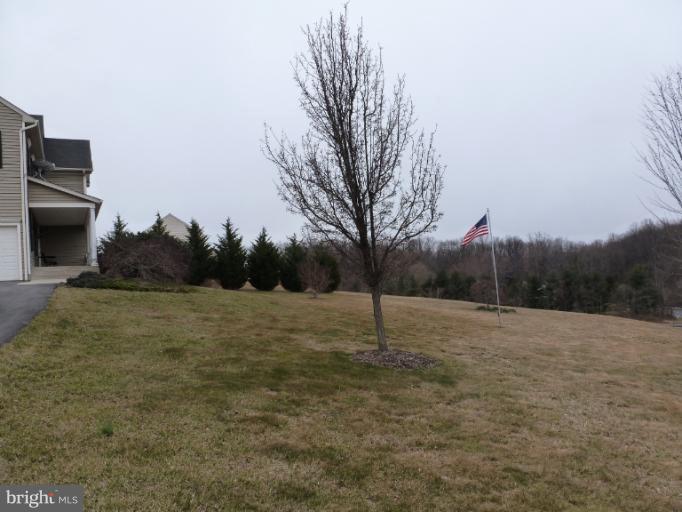 1999 Long Corner Road Mount Airy, MD 21771 - Photo 20 of 27 a street view with large trees