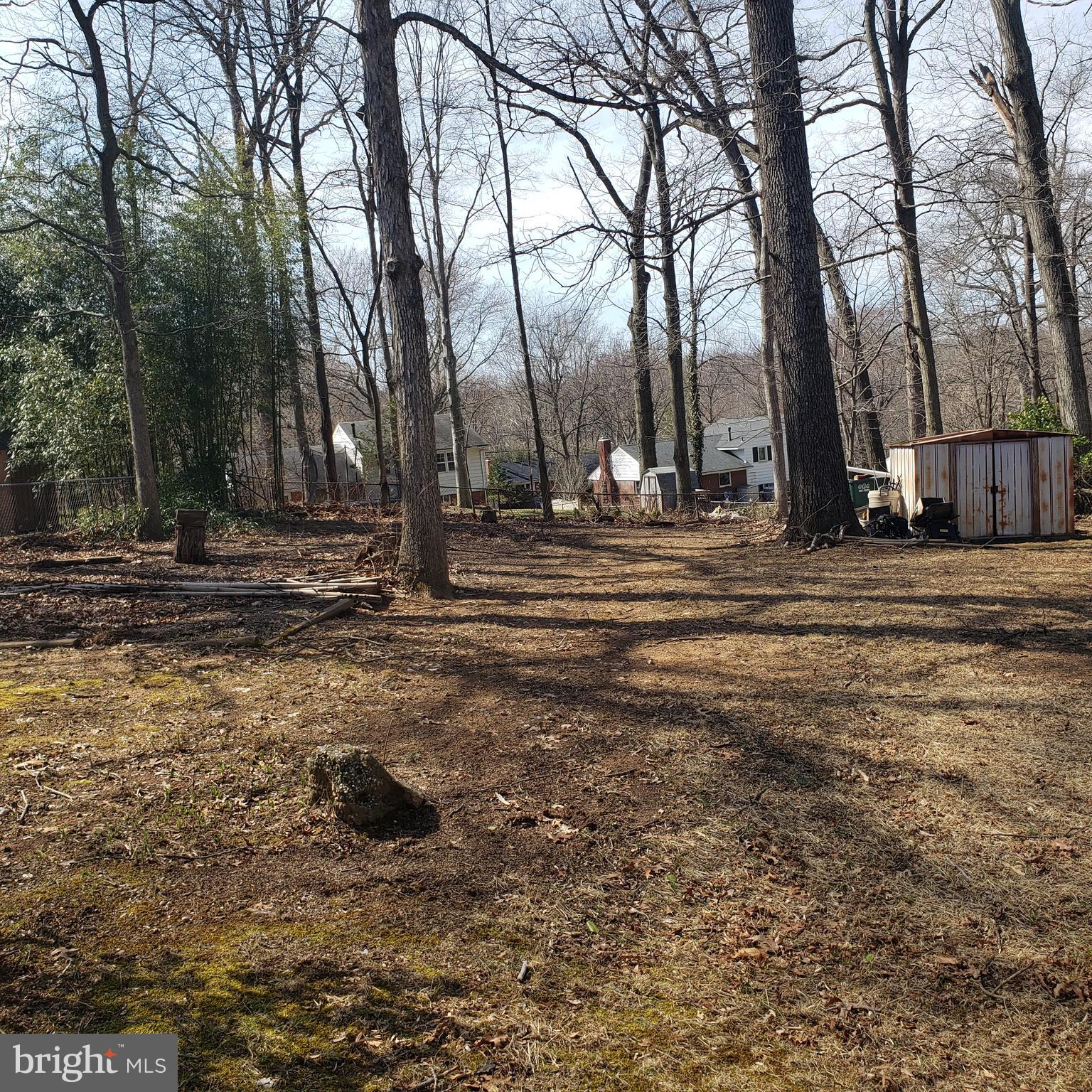 5405 Moultrie Road Springfield, VA 22151 - Photo 9 of 9 a view of a backyard with large trees