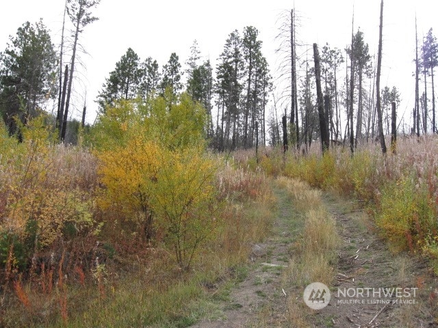 0 Evans Lake Road Riverside, WA 98849 - Photo 1 of 4 Gallery Image 1