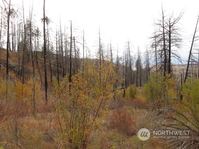 0 Evans Lake Road Riverside, WA 98849 - Photo 2 of 4 Gallery Image 2