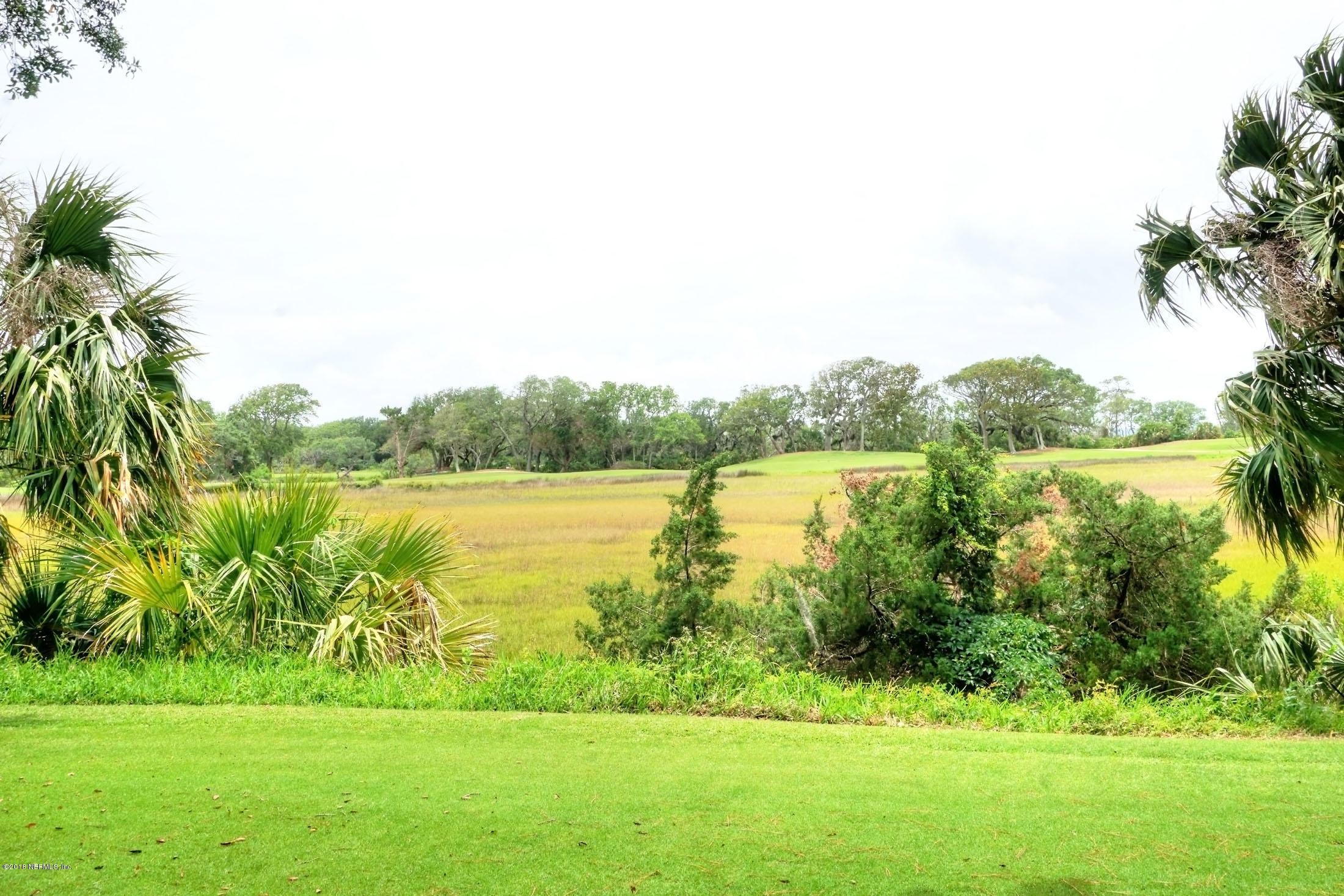 27 Marsh Hawk Road Fernandina Beach, FL 32034 - Photo 34 of 36 viewmarsh1-sm